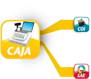 interfaz-sistemas-aspel-caja